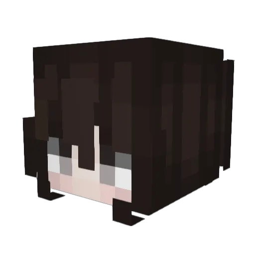 MTdoRJ Minecraft avatar head, 3D render