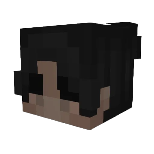 MVP_CNT_ Minecraft avatar head, 3D render