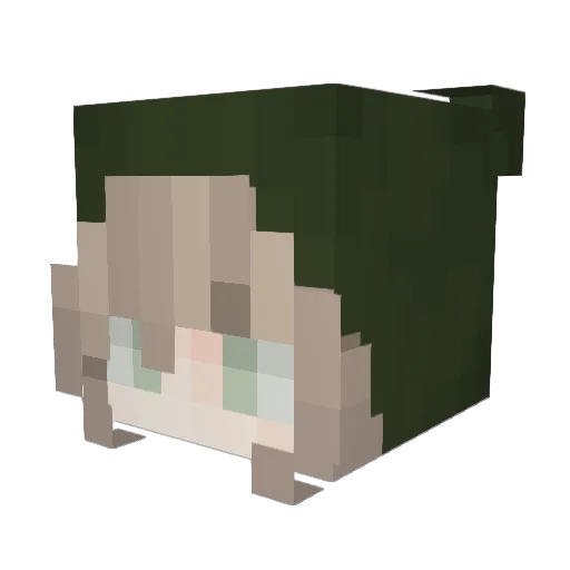 MWarrior135 Minecraft avatar head, 3D render