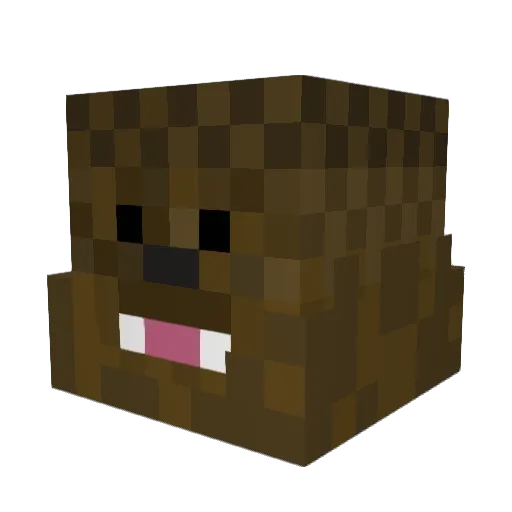 MWhity22 Minecraft avatar head, 3D render