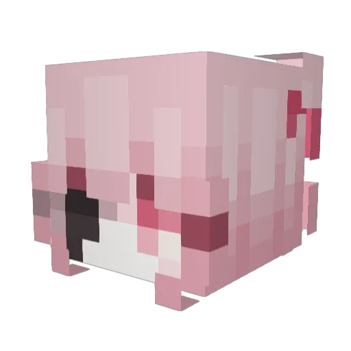 MWillow Minecraft avatar head, 3D render