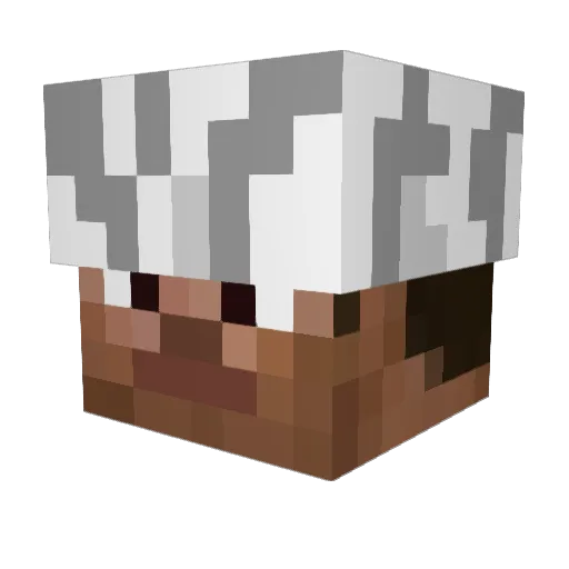 MYCATSAYHI Minecraft avatar head, 3D render