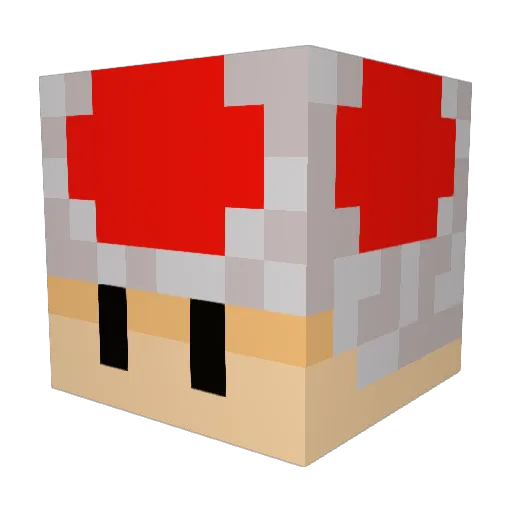 MYNAMEISNOAAA Minecraft avatar head, 3D render