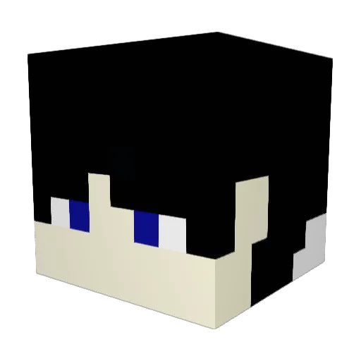MYWEIN88 Minecraft avatar head, 3D render