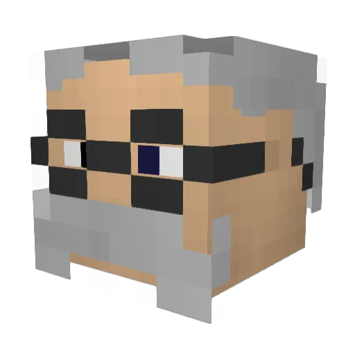 MY_NAME_SUKS_ Minecraft avatar head, 3D render