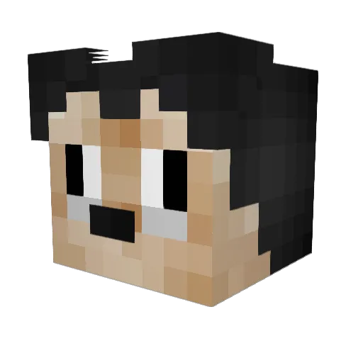 M_A_R_T_I_A_N_S Minecraft avatar head, 3D render