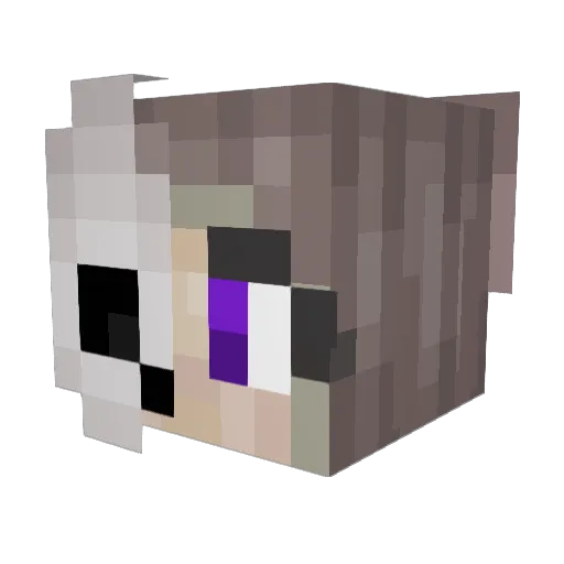 M_R_S_A Minecraft avatar head, 3D render