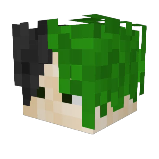 M_ToMeG Minecraft avatar head, 3D render
