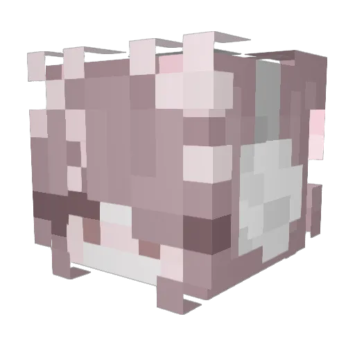 M_ivi Minecraft avatar head, 3D render