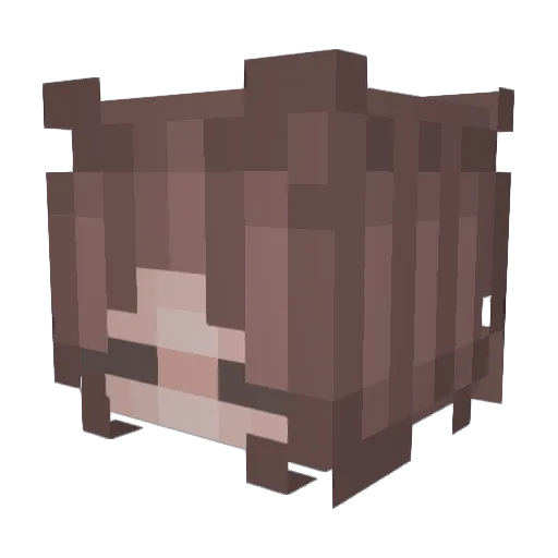 M_nala Minecraft avatar head, 3D render