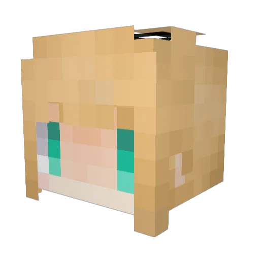M_rrrrr Minecraft avatar head, 3D render