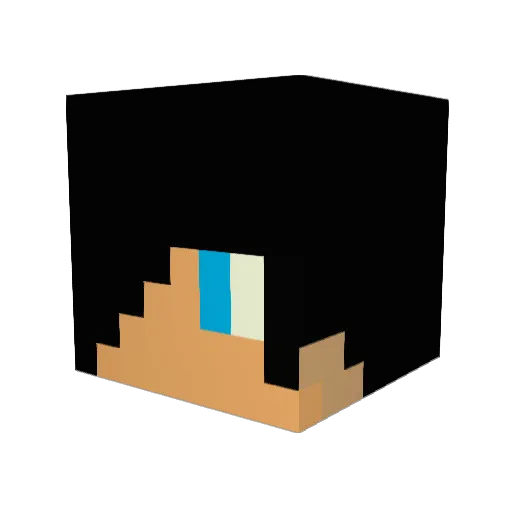 Ma0007 Minecraft avatar head, 3D render
