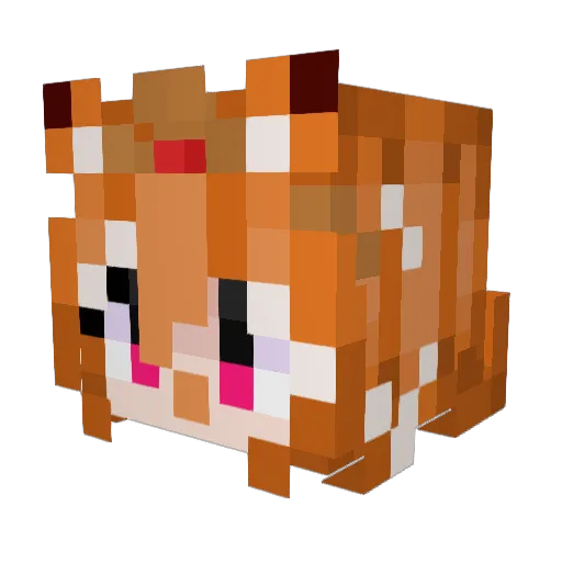 Ma0aroni Minecraft avatar head, 3D render