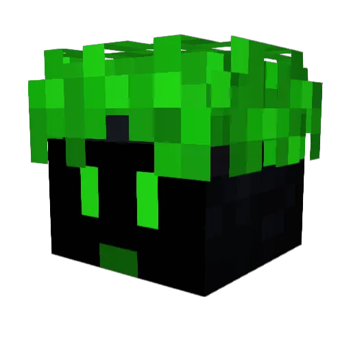 Ma1ysz Minecraft avatar head, 3D render