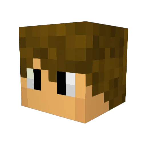 Ma5terBuildeR02 Minecraft avatar head, 3D render