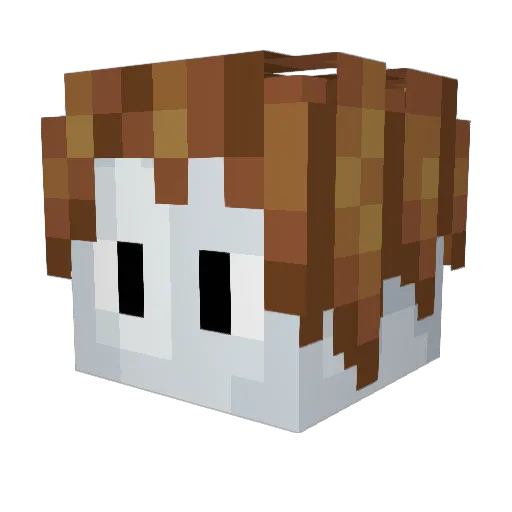 MaBaver Minecraft avatar head, 3D render