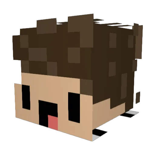 MaFIotA005YT Minecraft avatar head, 3D render