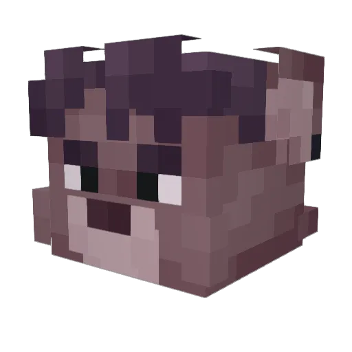 MaFinnIII Minecraft avatar head, 3D render