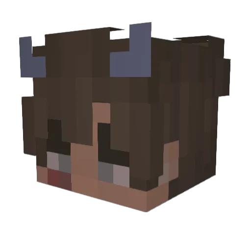 MaKz1Too Minecraft avatar head, 3D render
