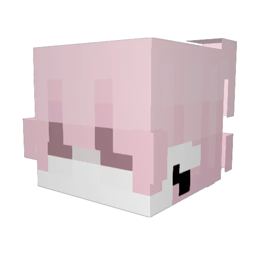 MaNameShy Minecraft avatar head, 3D render