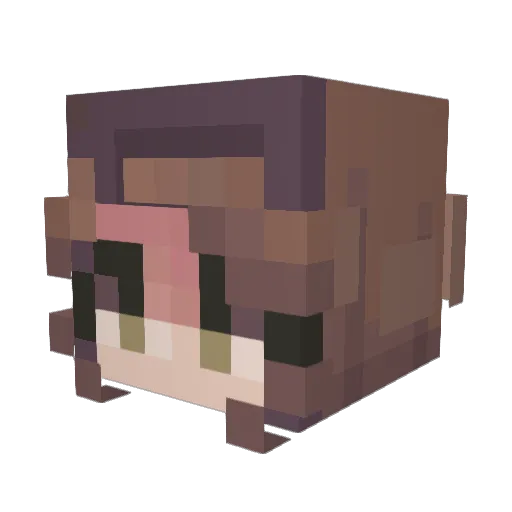MaPache0107 Minecraft avatar head, 3D render