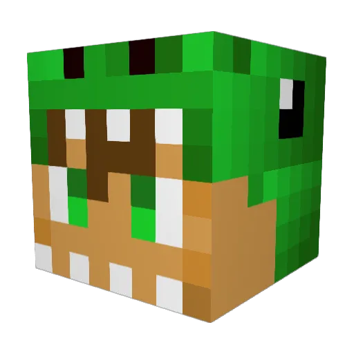 Maaartin_25 Minecraft avatar head, 3D render