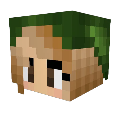 Maaay702 Minecraft avatar head, 3D render