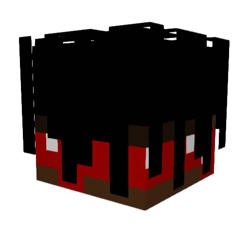 Maagzweer Minecraft avatar head, 3D render