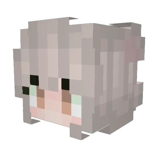 Maanhi Minecraft avatar head, 3D render