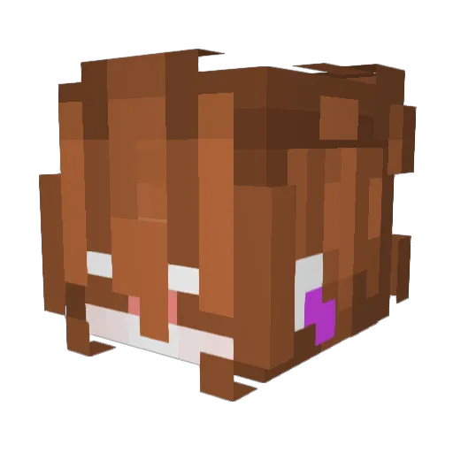Maanuzx Minecraft avatar head, 3D render