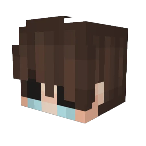 MaartenVJ Minecraft avatar head, 3D render