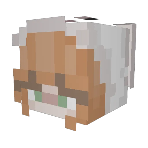 Maauudd Minecraft avatar head, 3D render