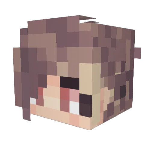 Mabi2401 Minecraft avatar head, 3D render