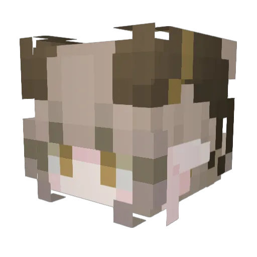 Mabsothiel Minecraft avatar head, 3D render