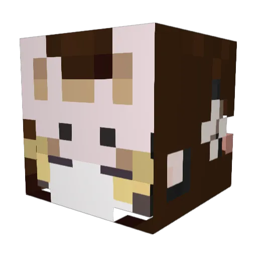 Mac0250 Minecraft avatar head, 3D render
