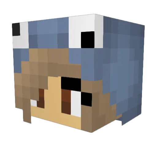 MacDog13 Minecraft avatar head, 3D render