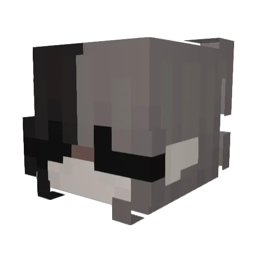 MacKenzie02 Minecraft avatar head, 3D render