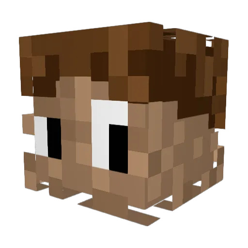 Mac_Fayden Minecraft avatar head, 3D render