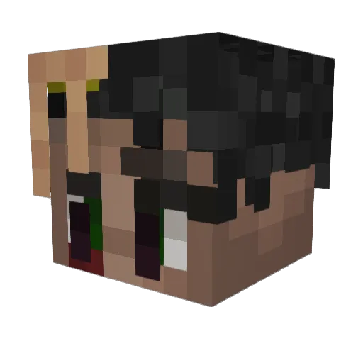 Macam41 Minecraft avatar head, 3D render