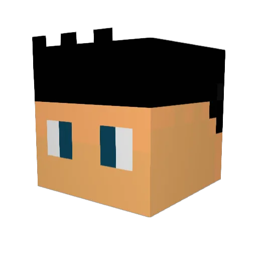 Macamodo Minecraft avatar head, 3D render