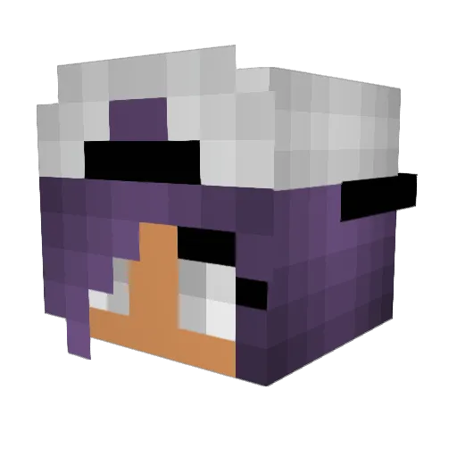 MacaroonCookie2 Minecraft avatar head, 3D render