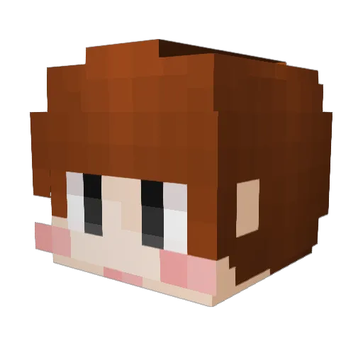 Maccas00 Minecraft avatar head, 3D render