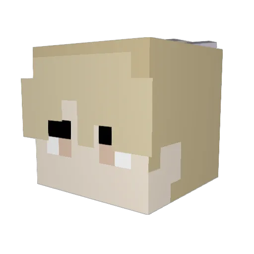 Macdawnlds Minecraft avatar head, 3D render