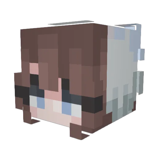 Mace8973 Minecraft avatar head, 3D render
