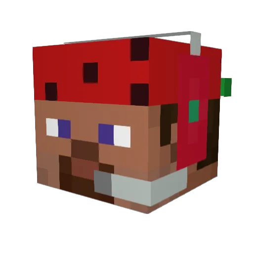 MaceMerchant Minecraft avatar head, 3D render