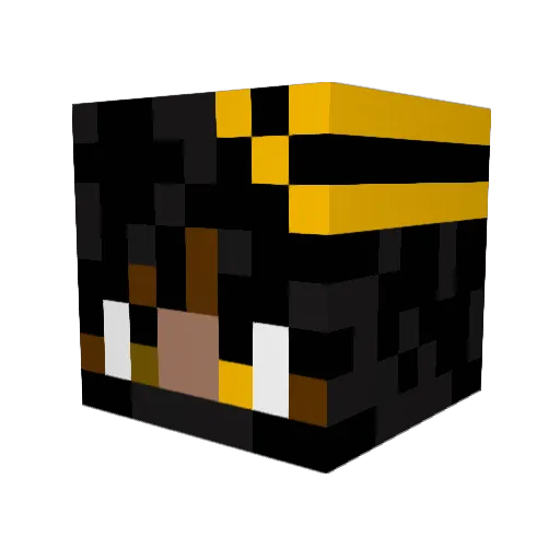 Mace_Void Minecraft avatar head, 3D render
