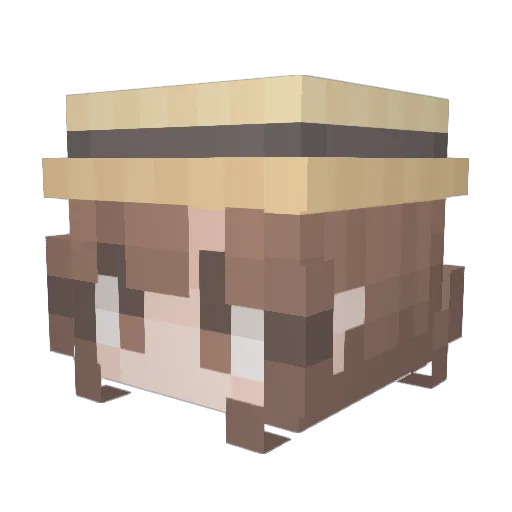 Macellie Minecraft avatar head, 3D render