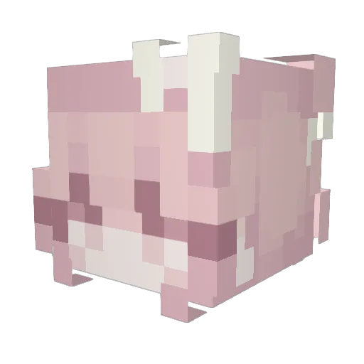Macemace04 Minecraft avatar head, 3D render