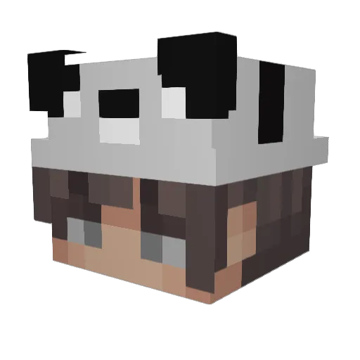 MacewellTheCat Minecraft avatar head, 3D render
