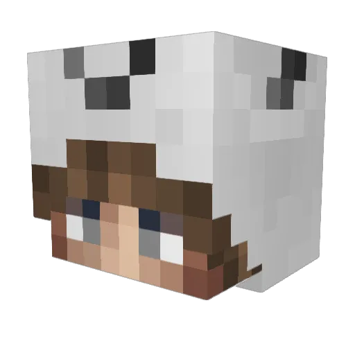 MachIchMorgen Minecraft avatar head, 3D render
